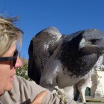 Foto del profilo di Marisa Rizzato