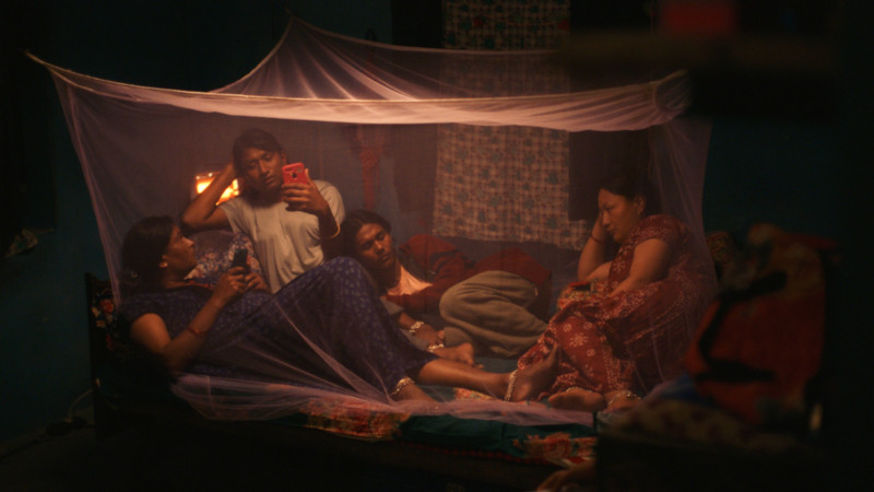 ELEPHANTS IN THE FOG