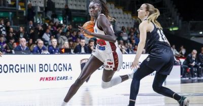 V-Reyer 
