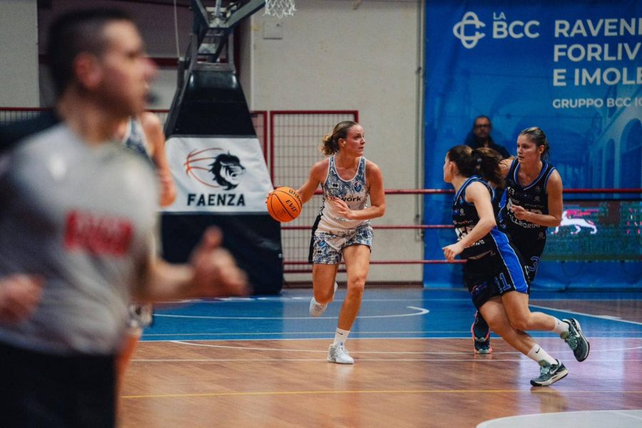 alpo vs faenza