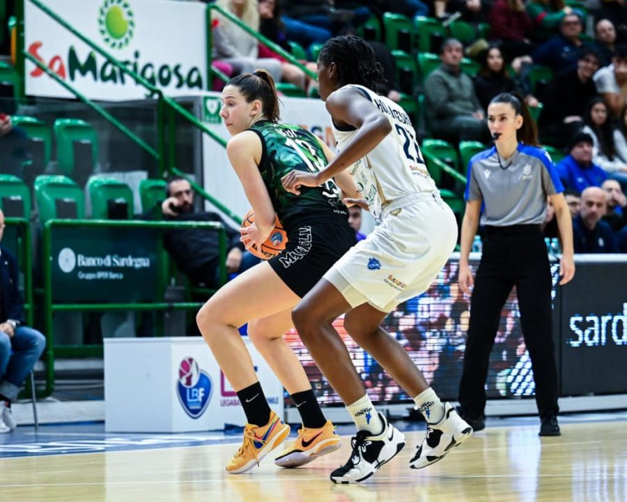 dinamo sassari vs campobasso
