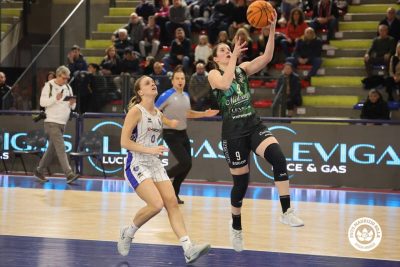 magnolia vs faenza 