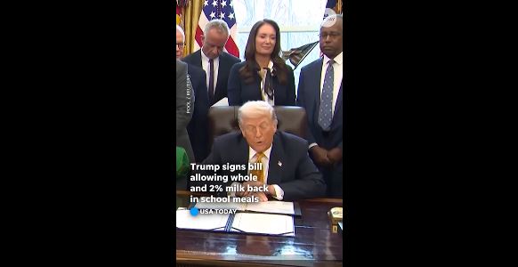 kk9869069802fggT1234dhkior4