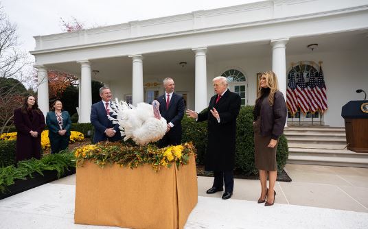 ww565312680_1140925111476000_2901203425881110822_n1