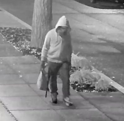 ww565312680_1140925111476000_2901203425881110822_n1 