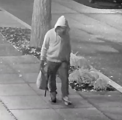 ww565312680_1140925111476000_2901203425881110822_n1