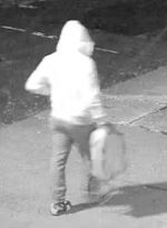 ww565312680_1140925111476000_2901203425881110822_n13 