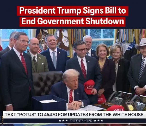 ww565312680_1140925111476000_2901203425881110822_n777 