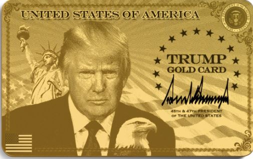 ww565312680_1140925111476000_2901203425881110822_ner666