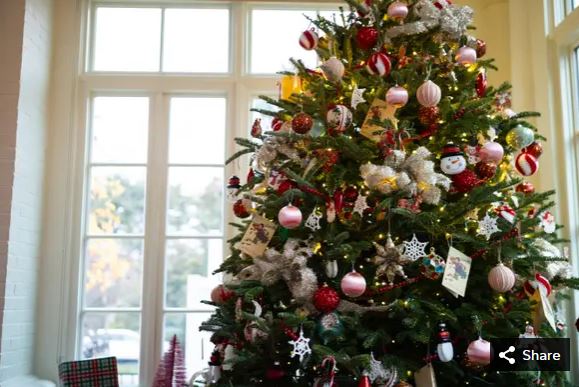 ww565312680_1140925111476000_2901203425881110822_ner6668j