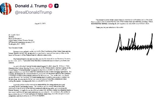 yyy567878tadx4tddi55ACVVzSSXX