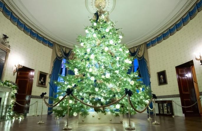 zz7789098077dd887ad88ADG4K2