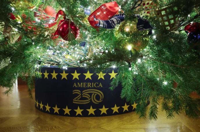 zz7789098077dd887ad88ADG4K2a