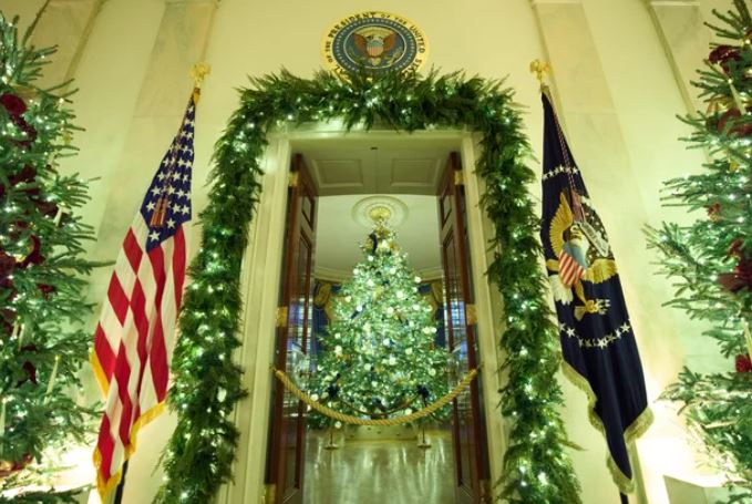 zz7789098077dd887ad88ADG4K2avy