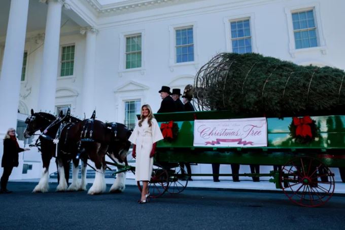 zz7789098077dd887ad88ADG4K2avyuyu