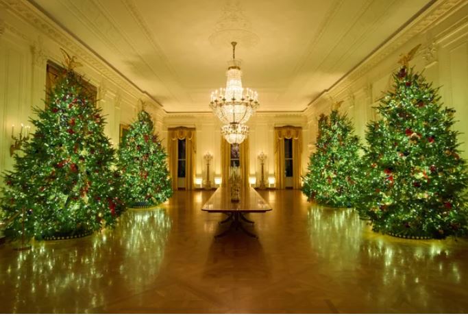 zz7789098077dd887ad88ADG4K2avyuyu8