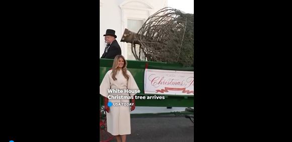 zz7789098077dd887ad88ADG4K2