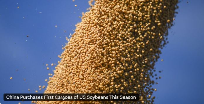 568519494_1142538087981369_3311149816761948034_n1ah