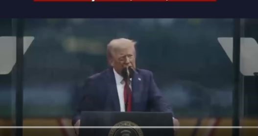 ZZ9698060987a2631dc223b07ccK