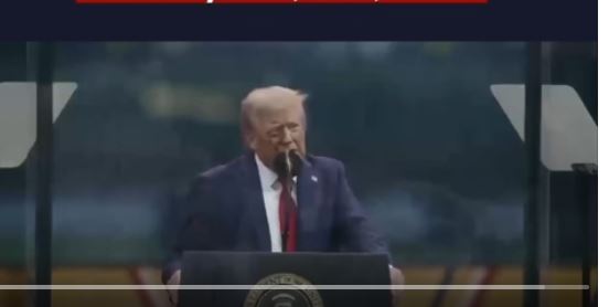 ZZ9698060987a2631dc223b07ccK