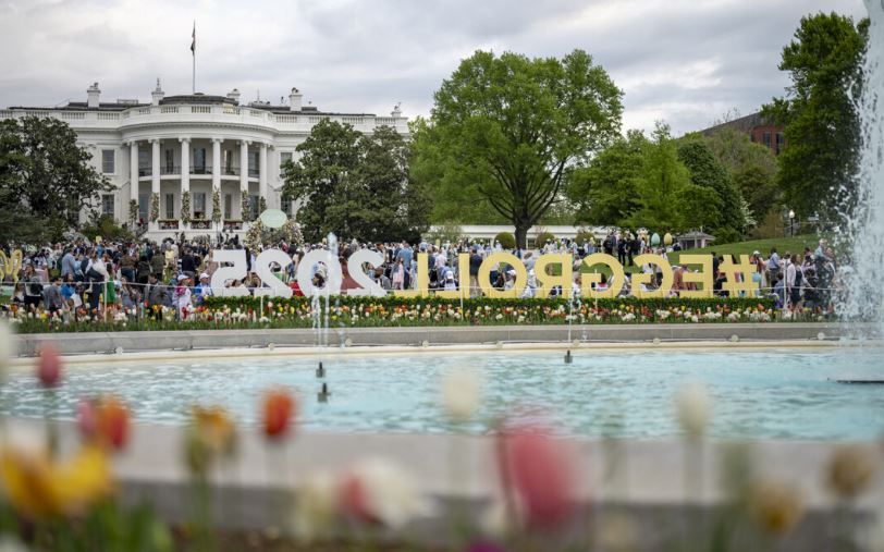 xx491857372_1203366741249990_1419826135431059497_nMNNM90