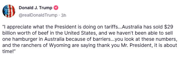 zzt89965789789-hoè0875