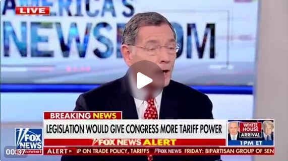 zzt89965789789-hoè0876