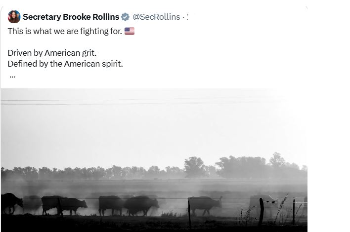 568519494_1142538087981369_3311149816761948034_naa890u