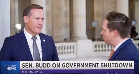 zz7789098077dd887ad88ADG4Kzziteeii7