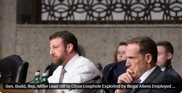 zzz5742854083185540634_n5476785r89ThhdrqqqtEE