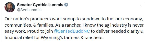 zzz5742854083185540634_n5476785r89ThhdrqqqtZZXXXABHFGGGz