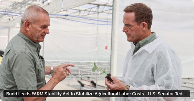 zzz5742854083185540634_n5476785r89ThhdrqqqtZZXXXABHFGGGzz