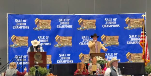 558765670_1503297230867109_1669420764594482235_n55