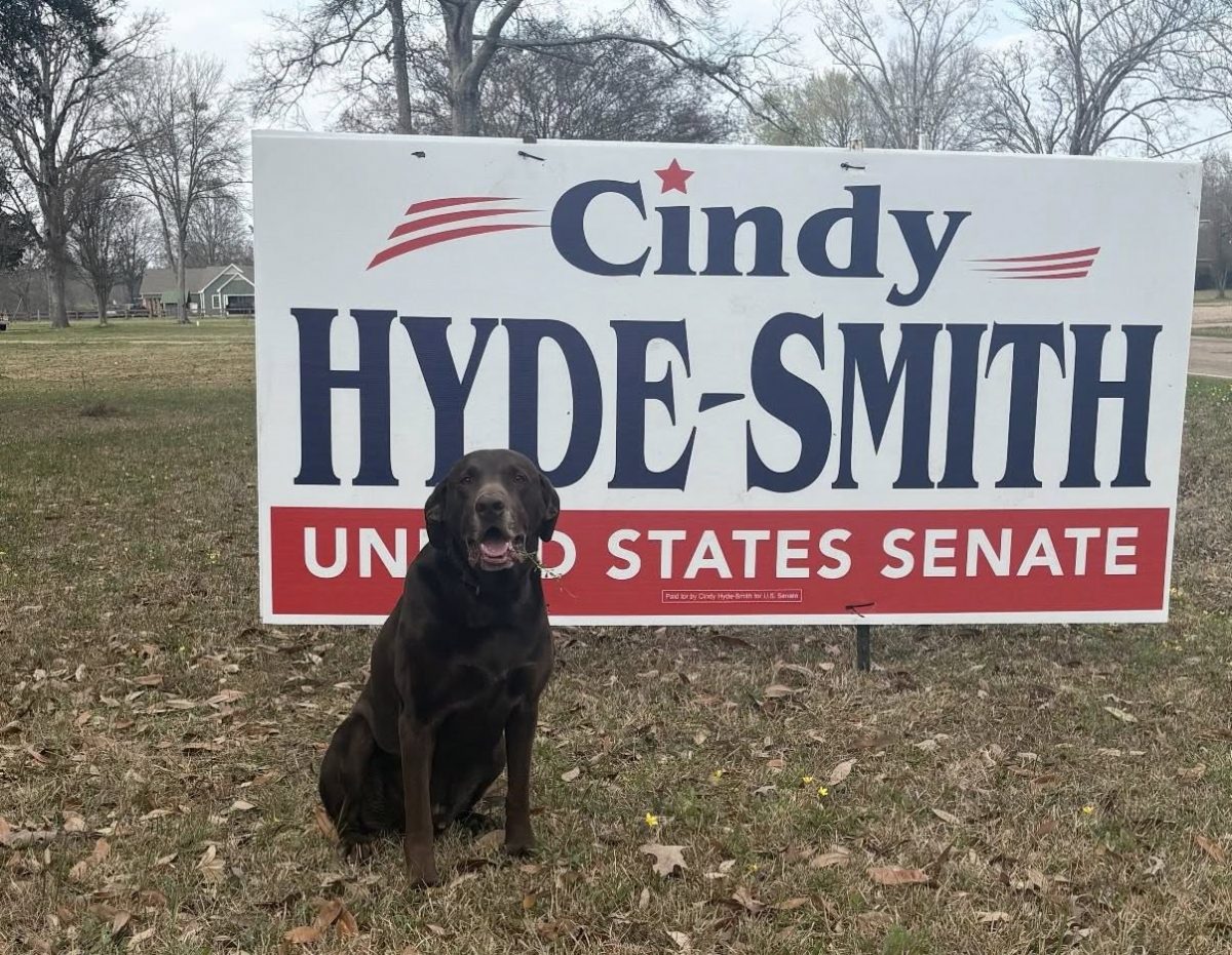 zzz5742854083185540634_n5476785r89Thhdrqqqt12