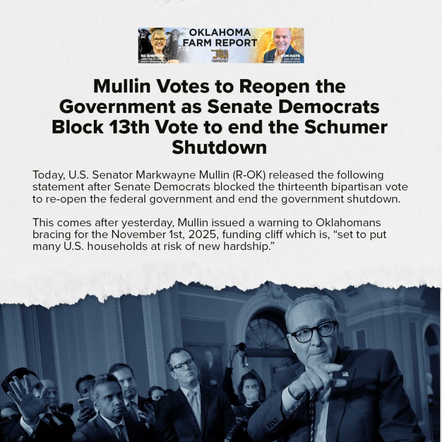 mm574568455_1378970383595202_6582651079442033243_n