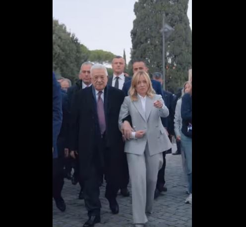 zz7789098077dd887ad88ADG4K444Hdhj88tthhgigf