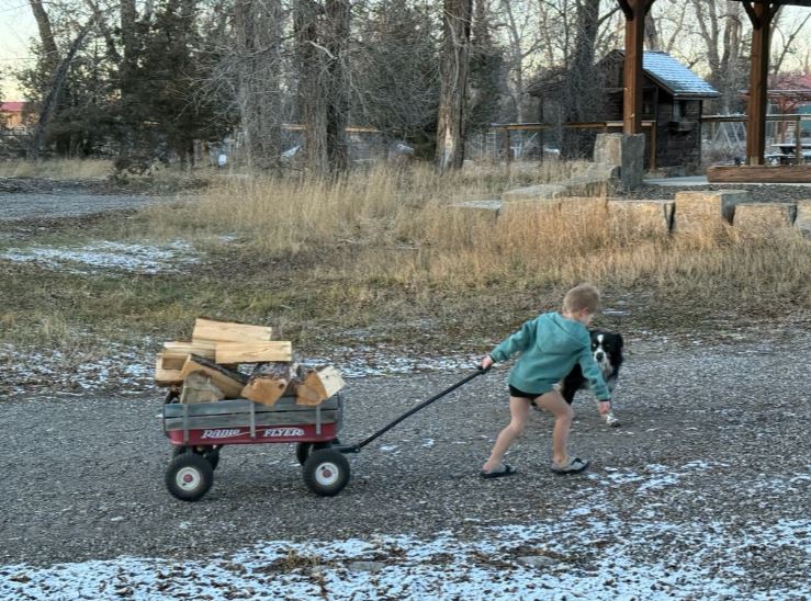 ww565312680_1140925111476000_2901203425881110822_nAB123