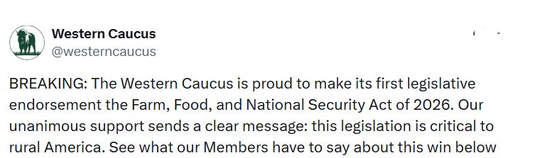 558765670_1503297230867109_1669420764594482235_njkjk