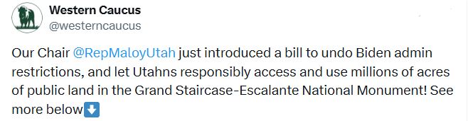 z559563095_122152616858723345_5458471547571566296_ndhjkhjYYaad