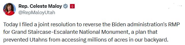 z559563095_122152616858723345_5458471547571566296_ndhjkhjYYaada