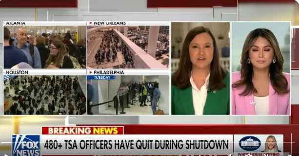 zzz5742854083185540634_n5476785r89ThhdrqqqtZZXXXABHFGGG66p