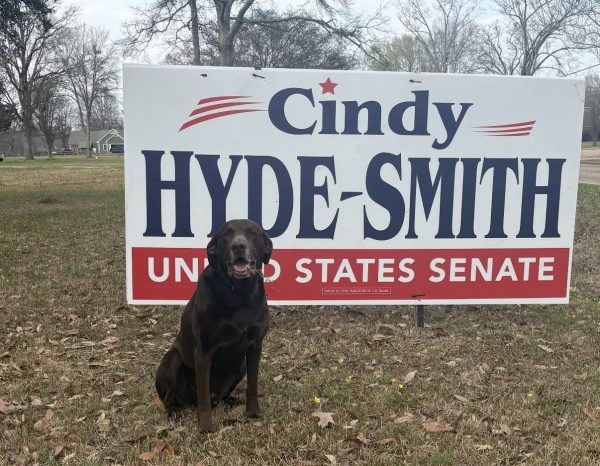 zzz5742854083185540634_n5476785r89Thhdrqqqt12 