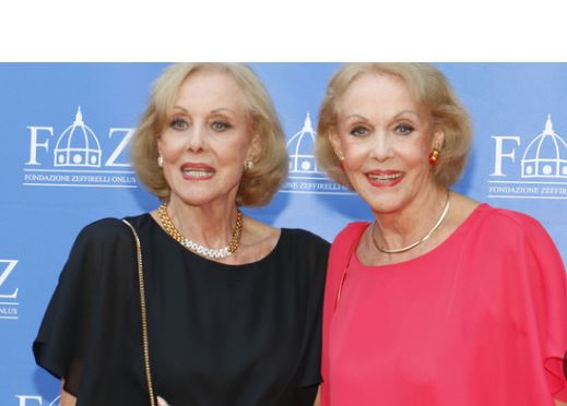 558765670_1503297230867109_1669420764594482235_ndd