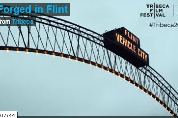 forged in flint