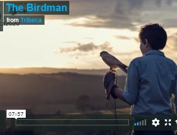 the birdman .