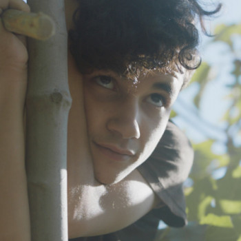 UNDER THE FIG TREES