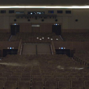 LA BIENNALE DI VENEZIA. IL CINEMA AL TEMPO DEL COVID