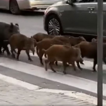 978798