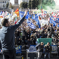 salvini