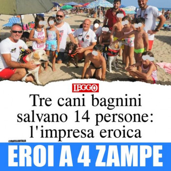 220695670_10159385714017645_8432904069123991419_n